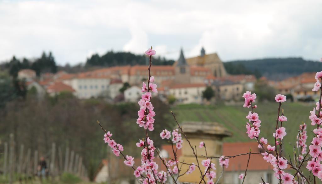 Gites Le Lancelot Ambierle Buitenkant foto